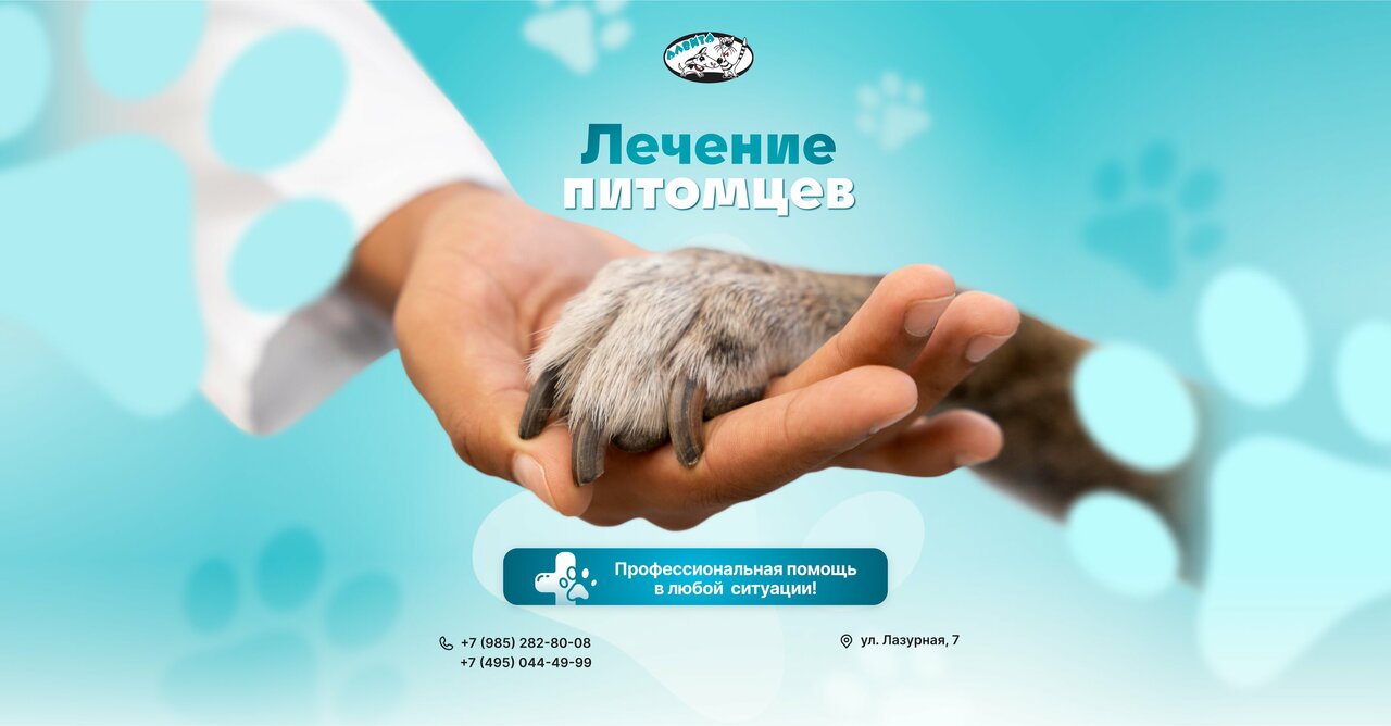Алвита