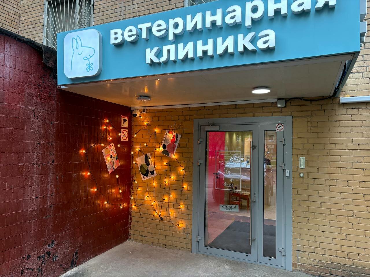 Лама рядом