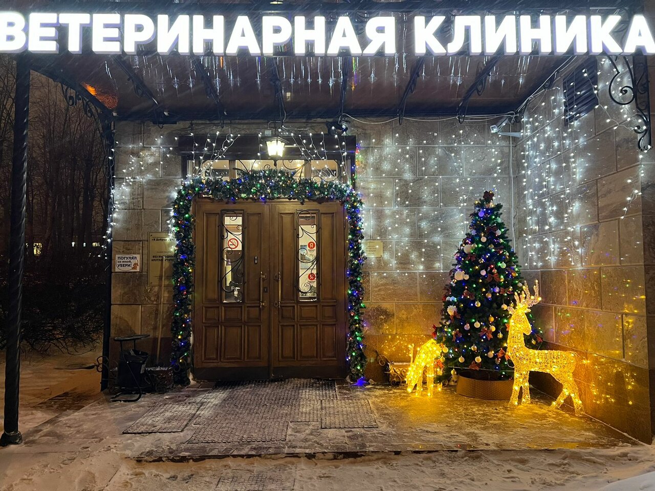 В Добрые Руки — фото 3