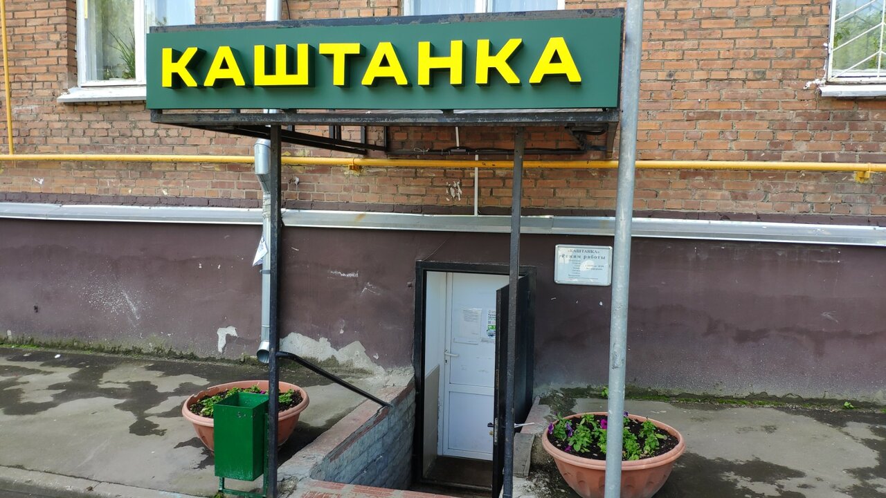 Каштанка — фото 4