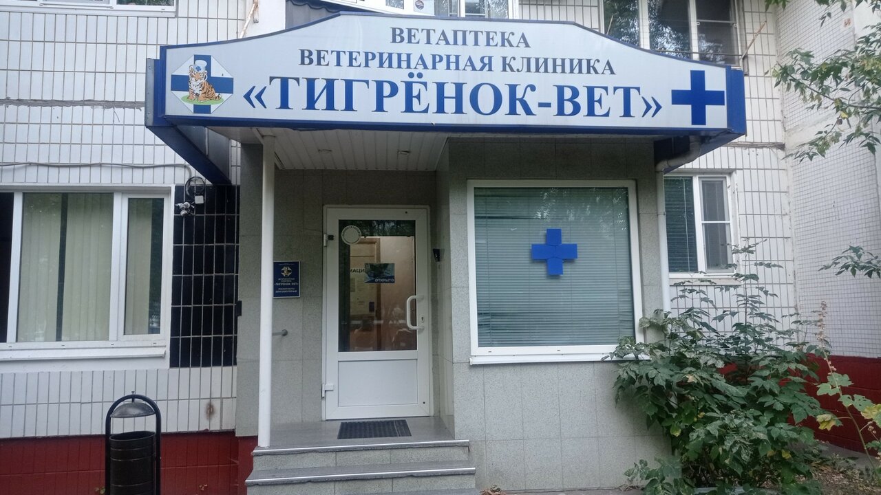 Тигрёнок-Вет — фото 2