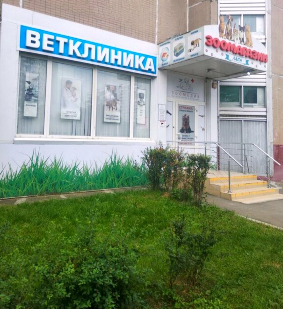 Зоомедик