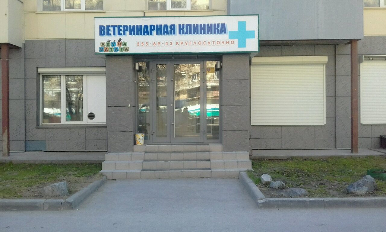 Акуна Матата