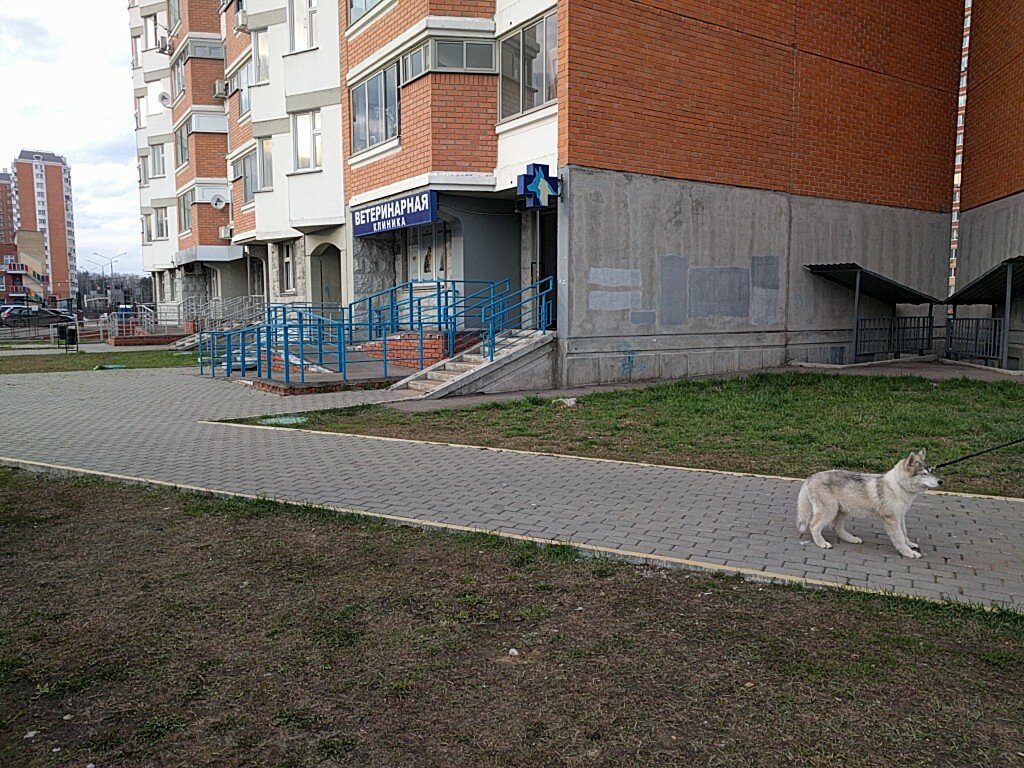 Друг — фото 3