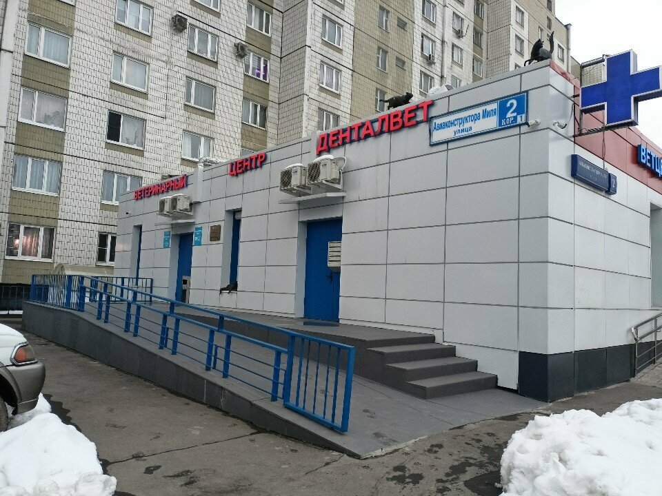 Денталвет