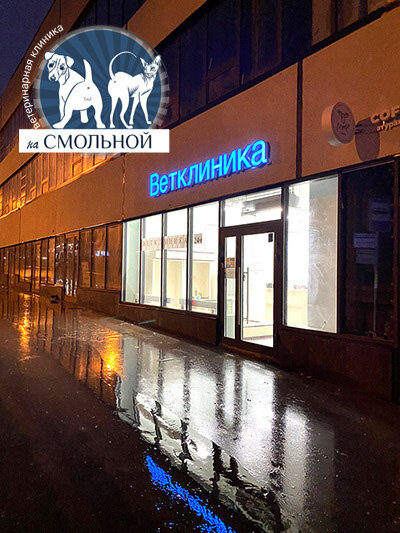 Ветклиника на Смольной — фото 3