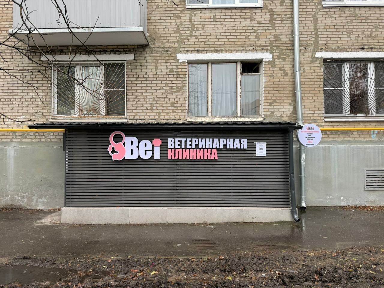 8Vet — фото 3