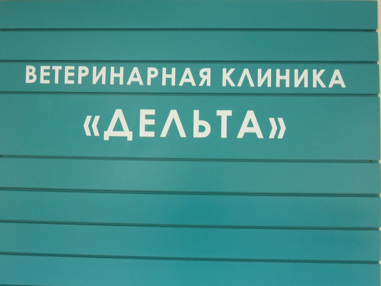 Дельта — фото 3