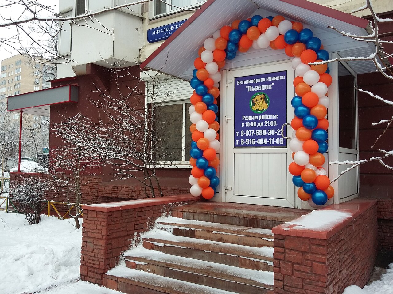 Львёнок