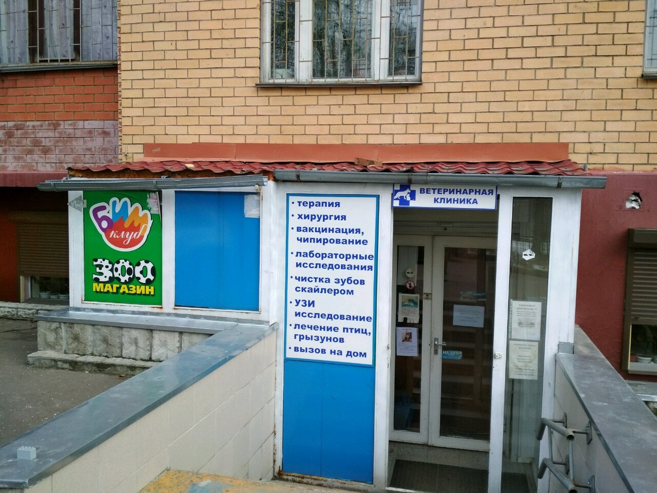 Стелла