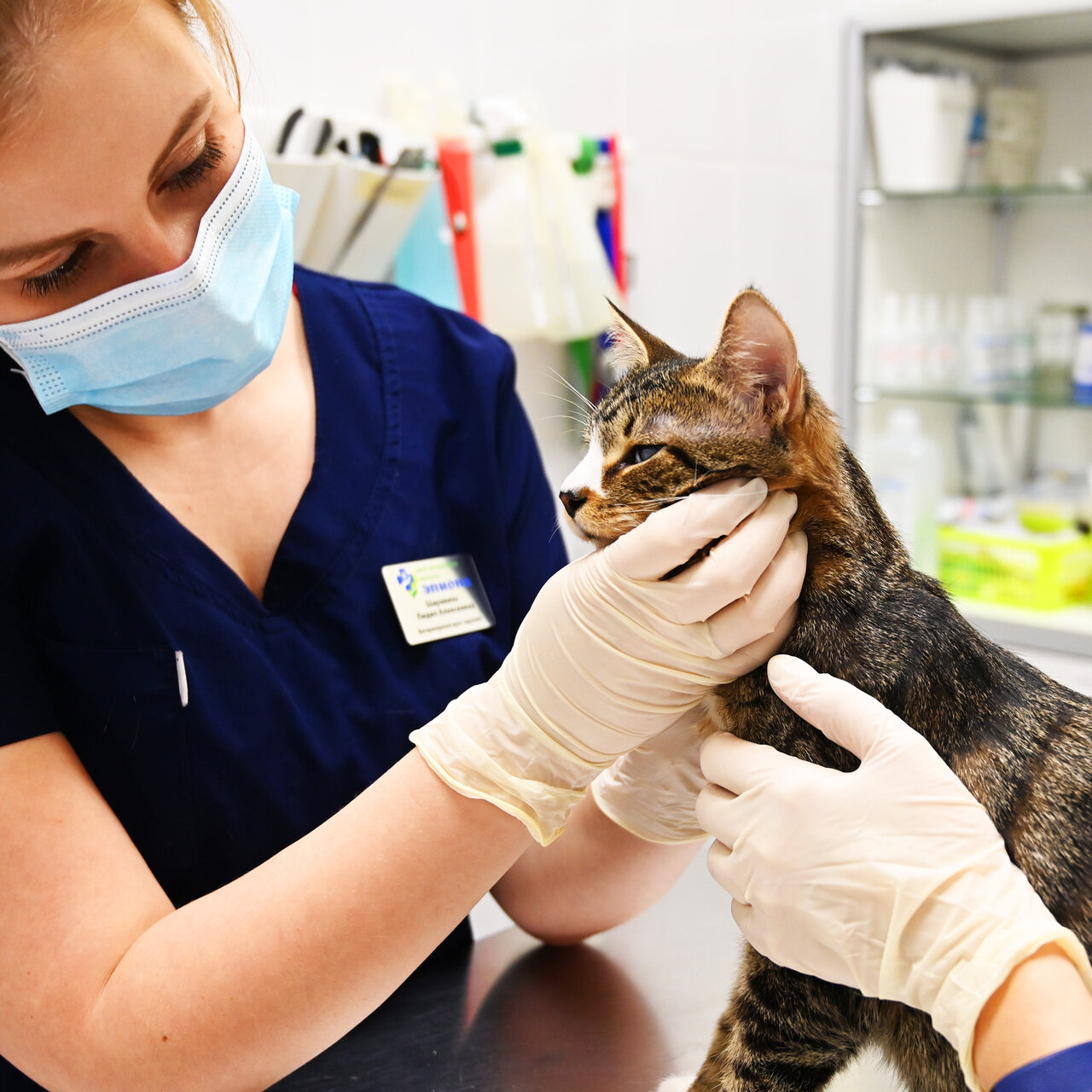 Эпиона — фото 3