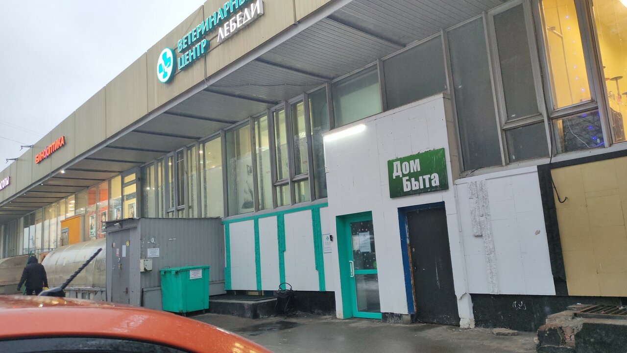Лебеди
