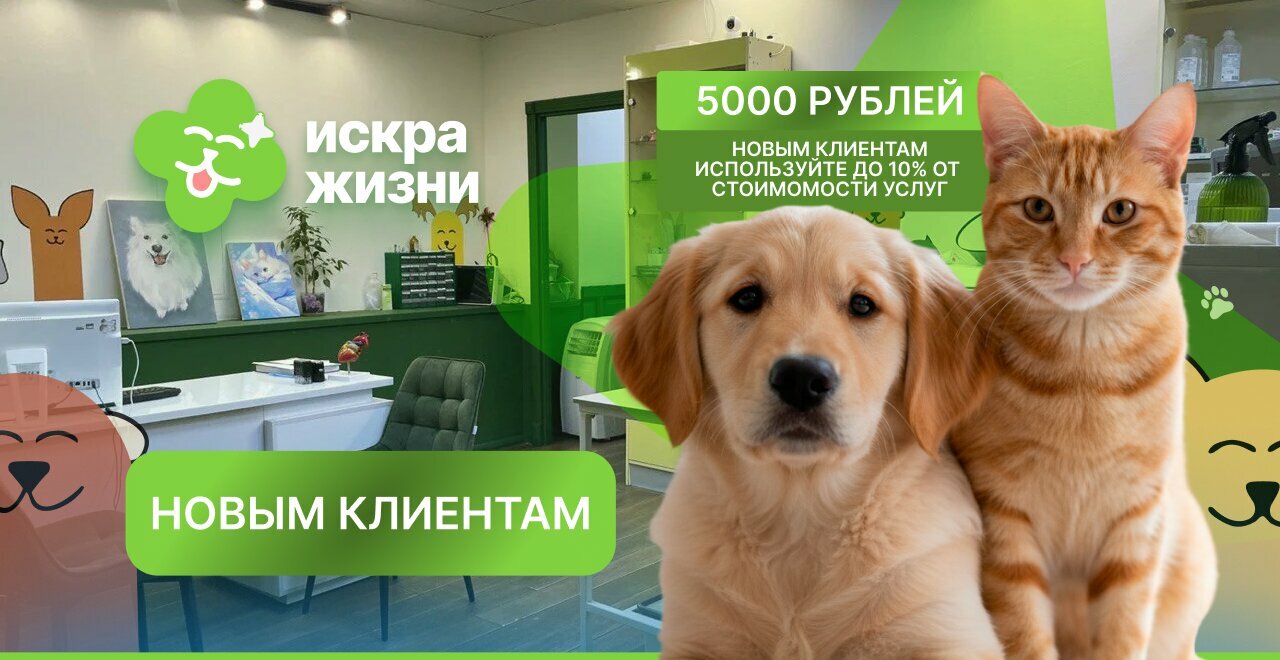 Искра жизни — фото 3