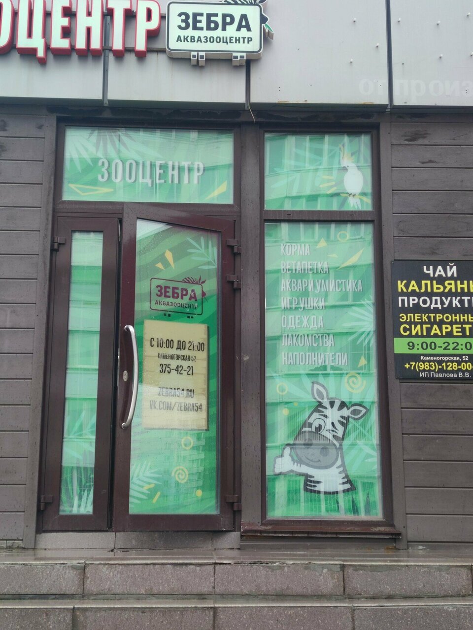 Зебра — фото 3