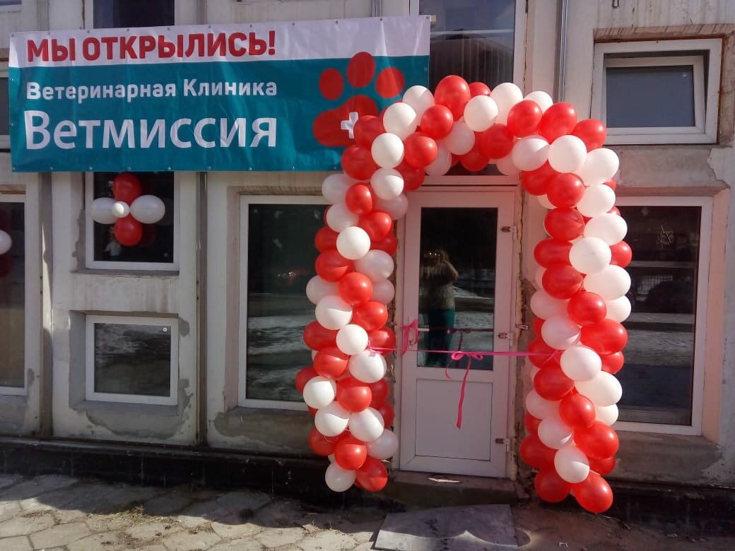 Ветмиссия — фото 3