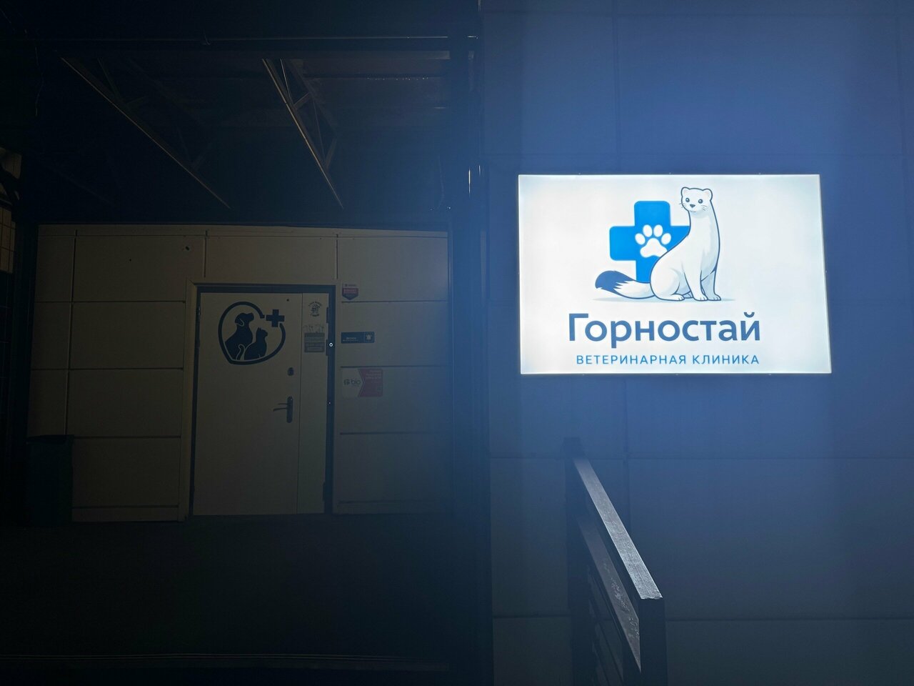 Горностай