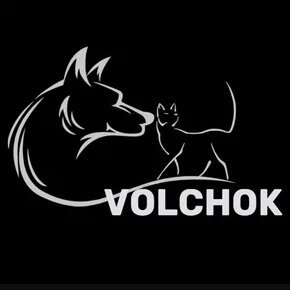 Логотип «Volchok»