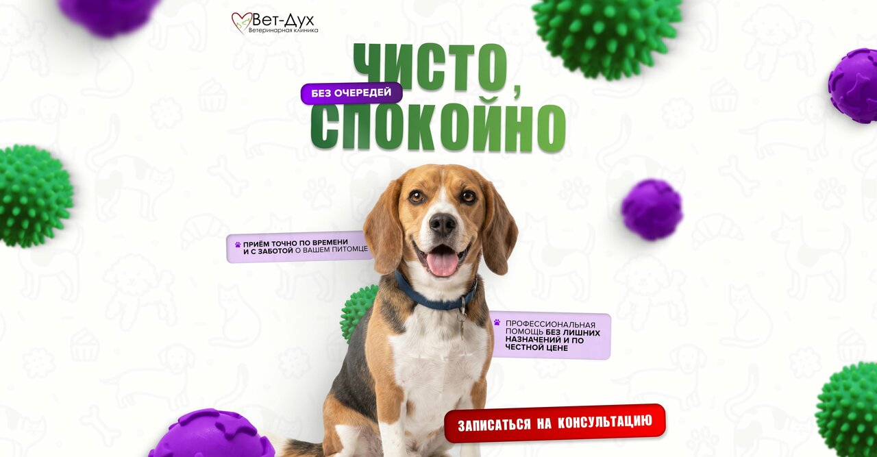 Вет-Дух