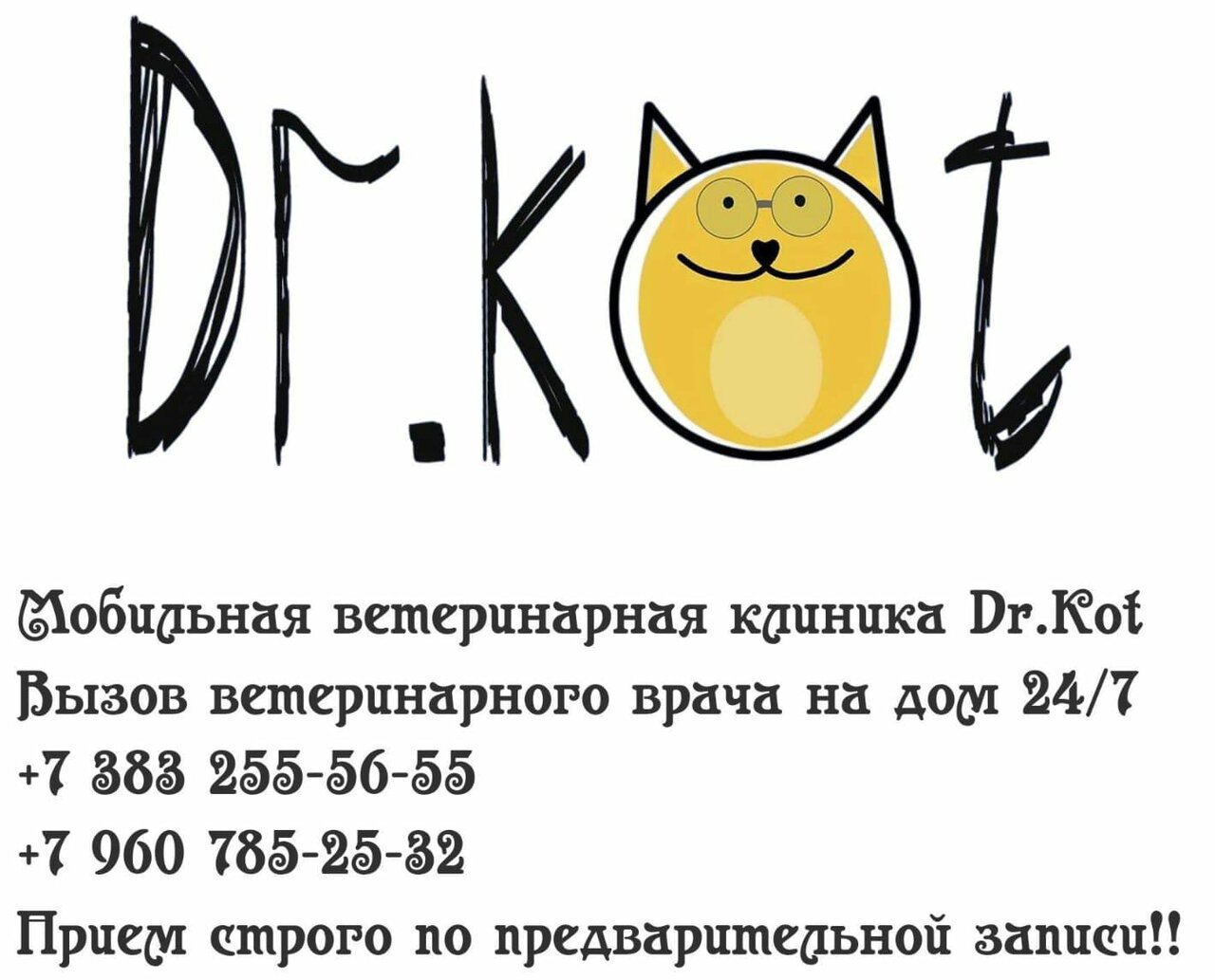 Dr. Kot — фото 2