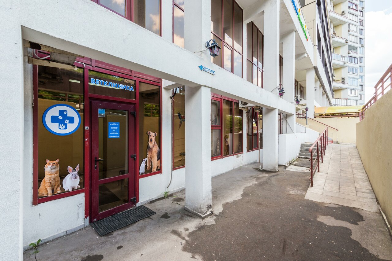 Ветэмбуланс — фото 3