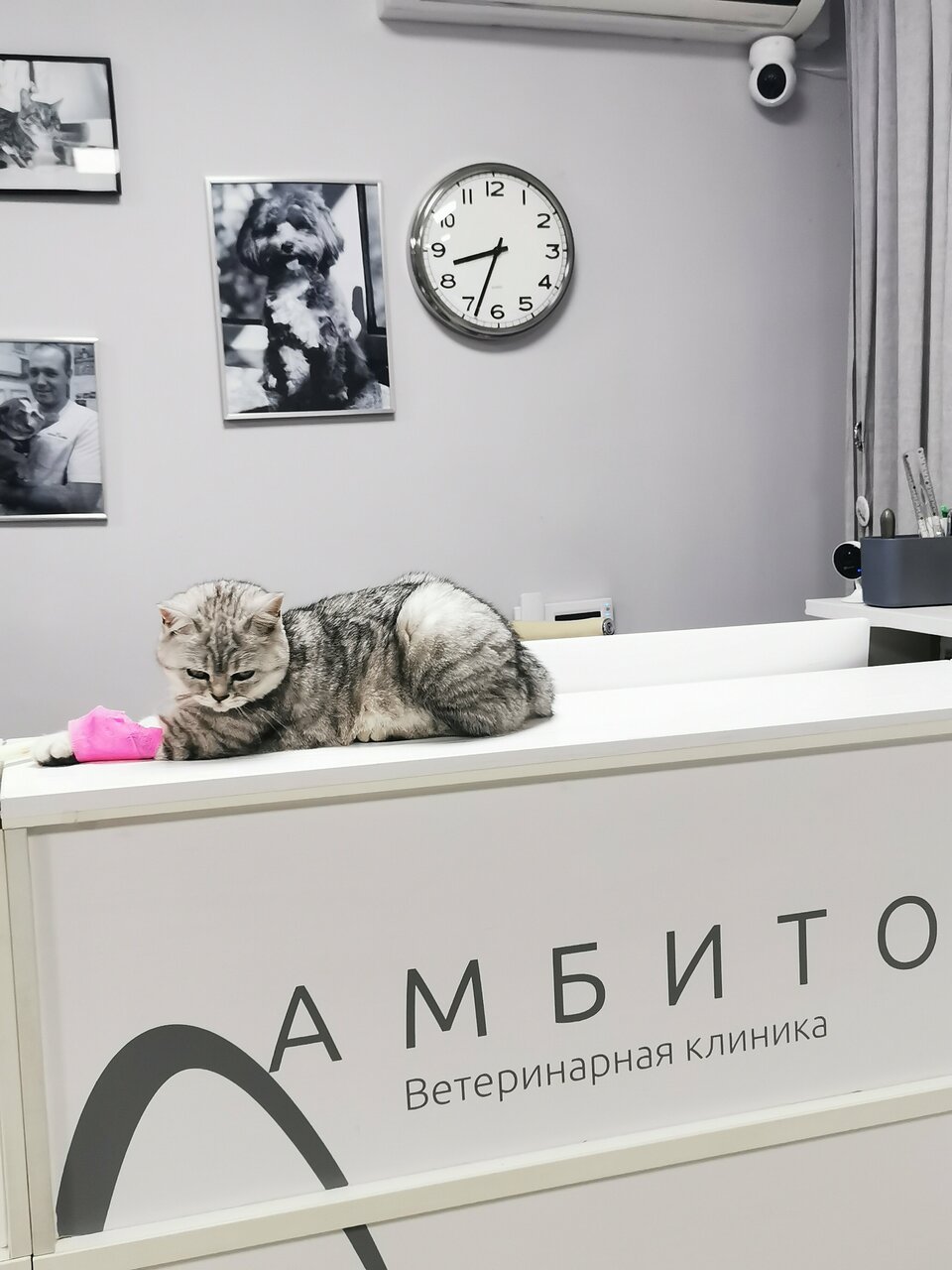 Амбито