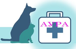Логотип «Аура»