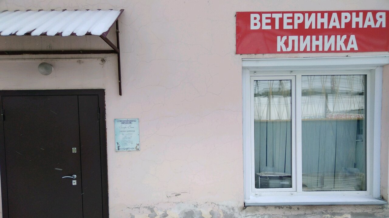 Альфа-вет — фото 4