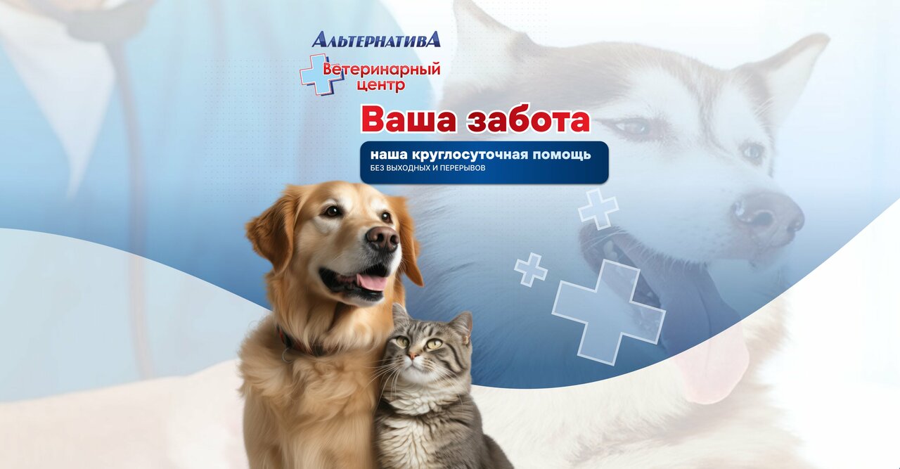 Альтернатива