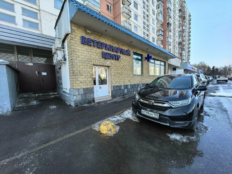 Ласка — фото 3