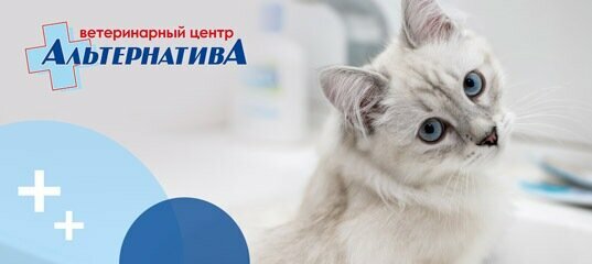 Альтернатива — фото 2