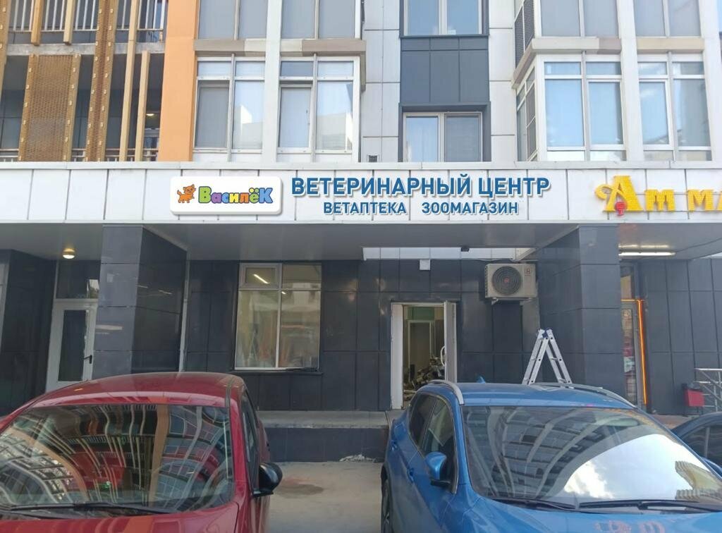Василёк — фото 3