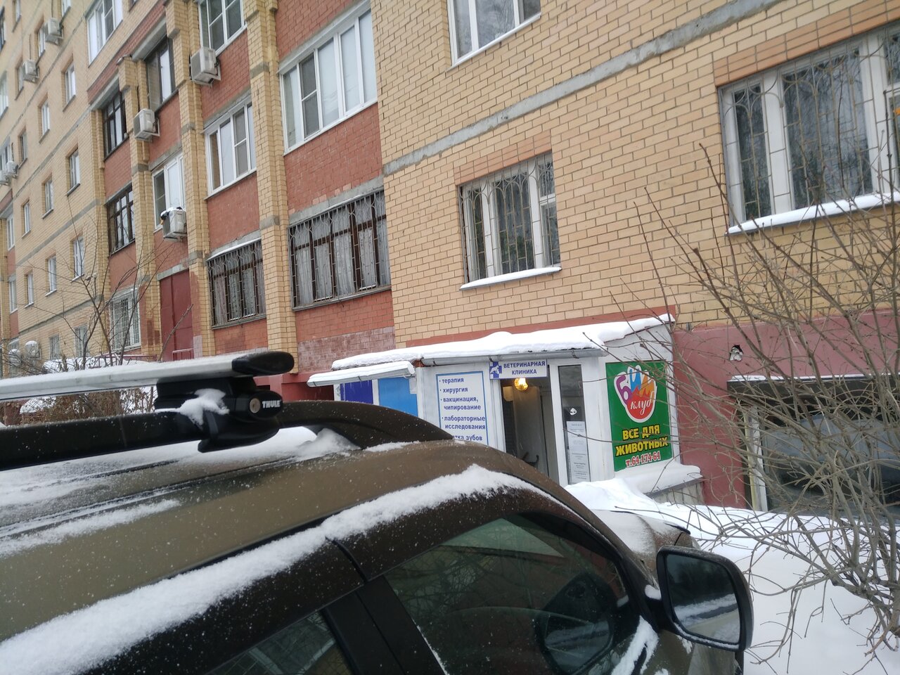 Стелла — фото 2