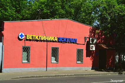Эскулап
