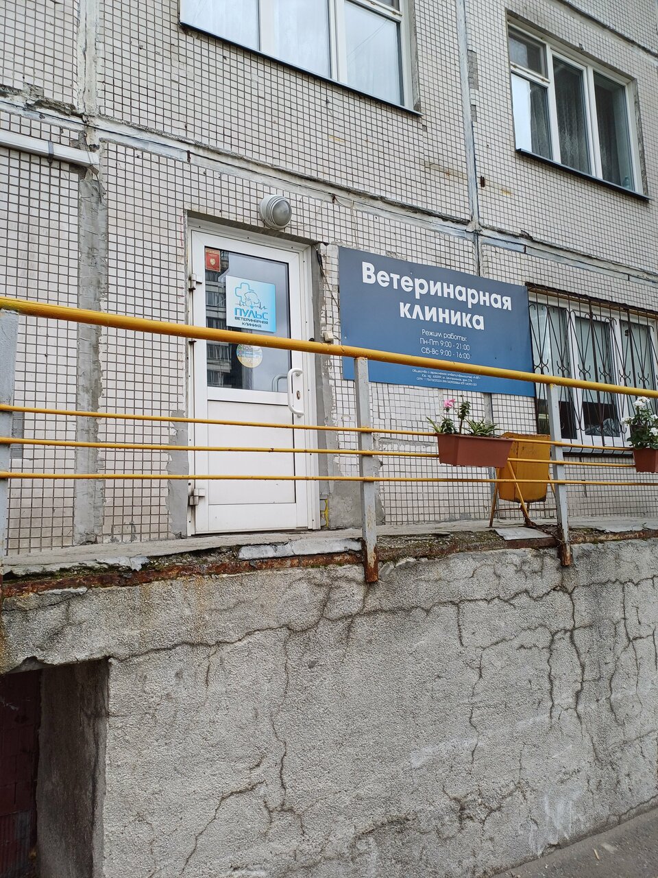 Пульс