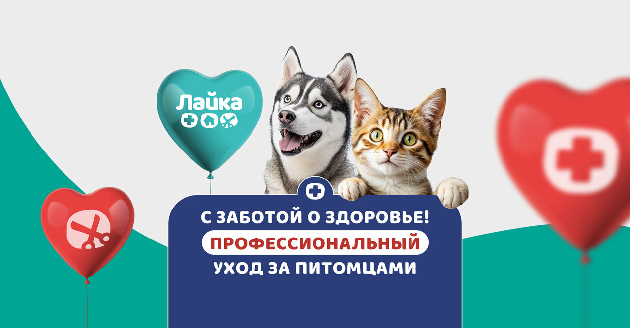 Лайка