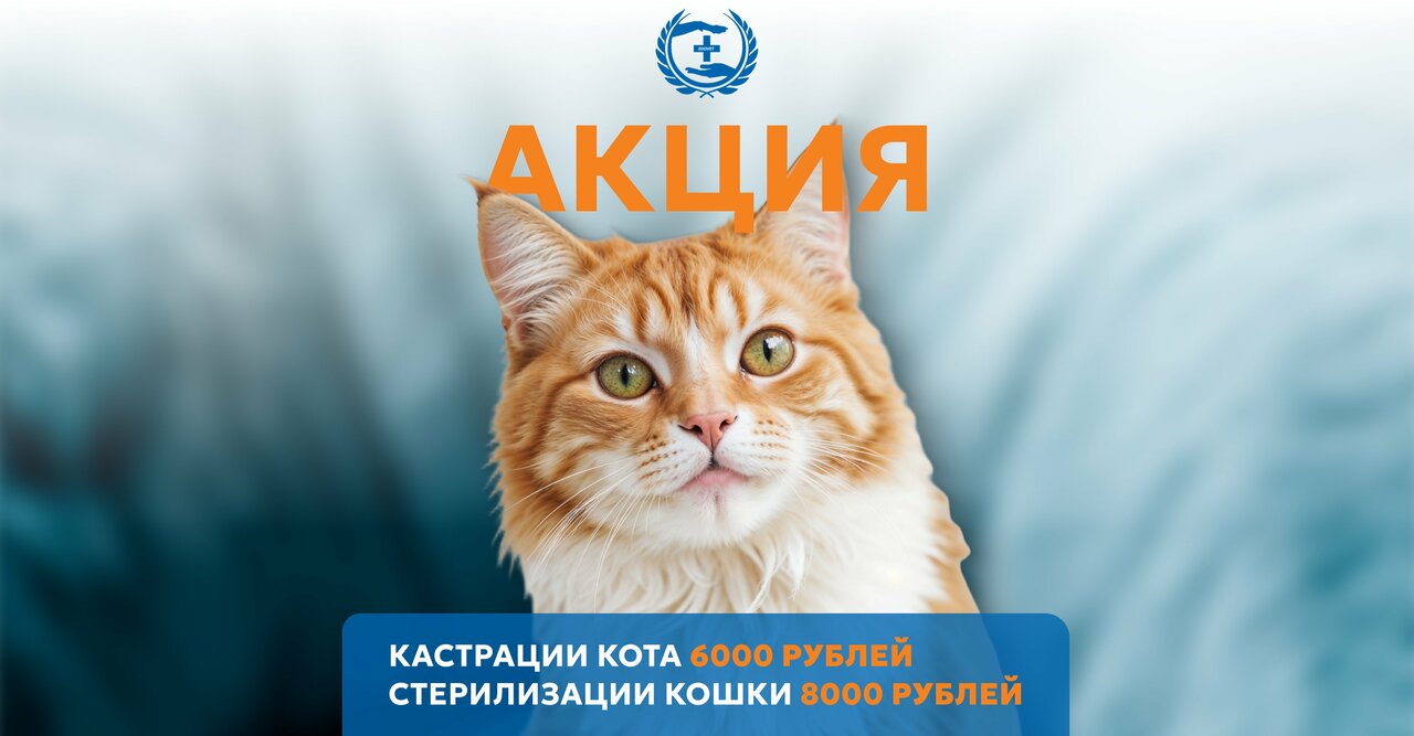 Зоовет