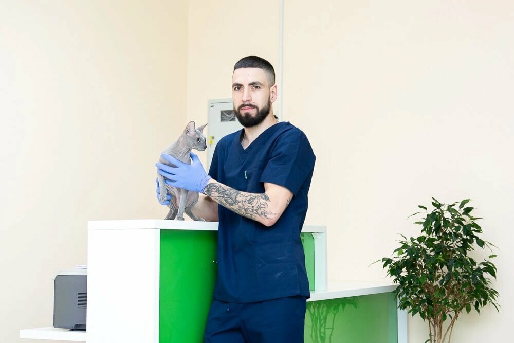 WelcomeVet