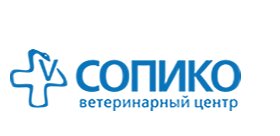 Логотип «Сопико»