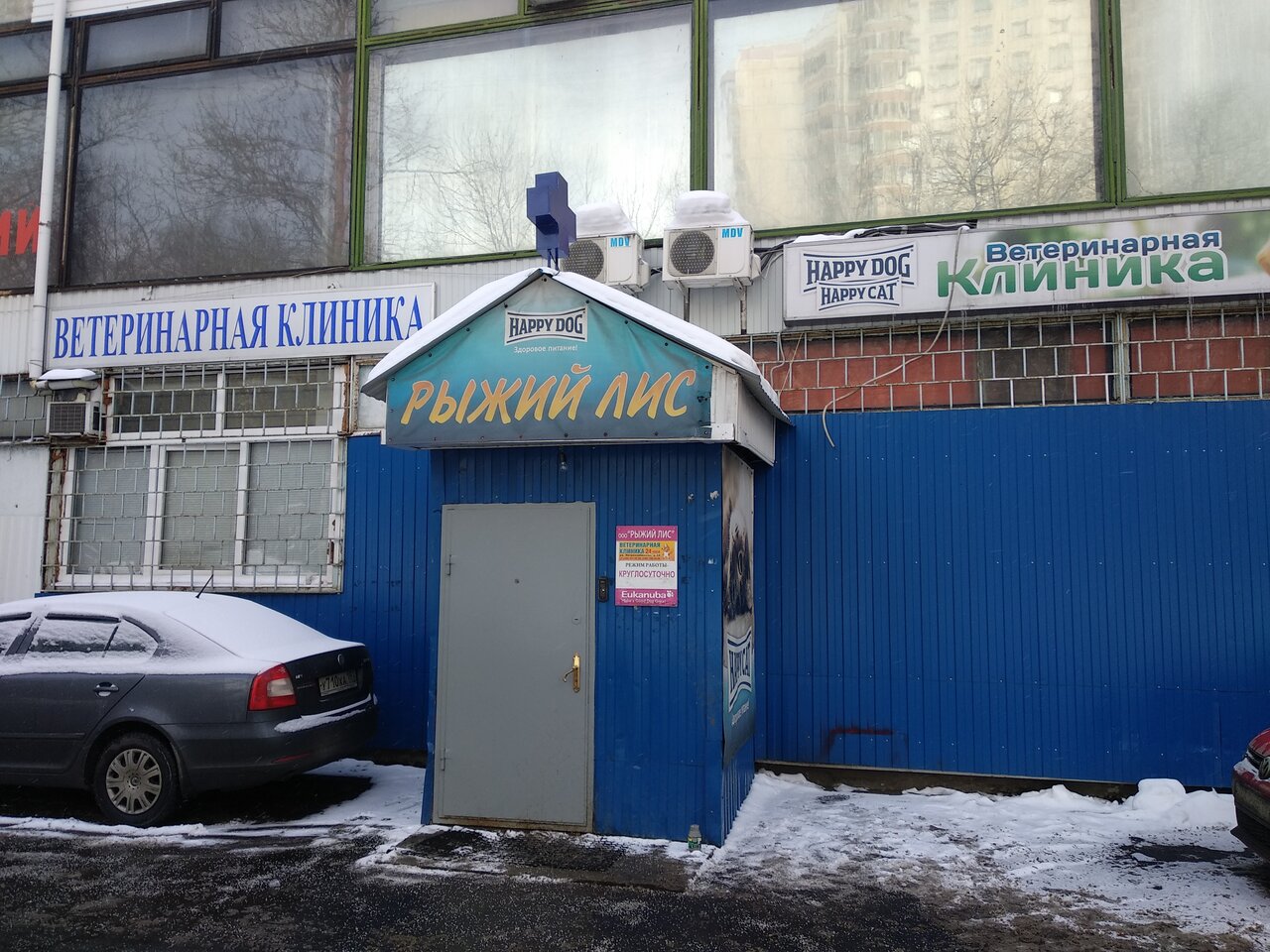 Рыжий лис