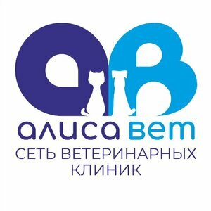 Логотип Алисавет