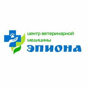 Логотип Эпиона