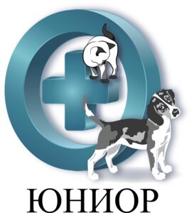 Логотип «Юниор»