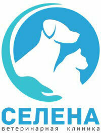 Логотип Селена
