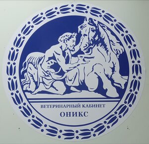 Логотип «Оникс»