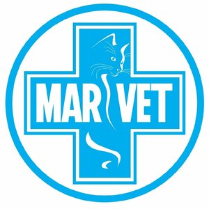 Логотип «Марвет»