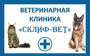 Логотип «Склиф-Bет»