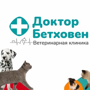 Логотип «Доктор Бетховен»