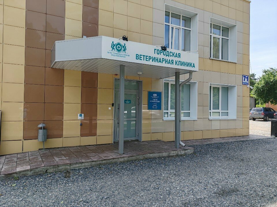 Управление ветеринарии г. Новосибирска, Отдел электронных ветеринарных систем