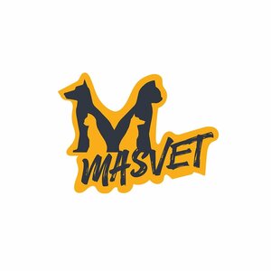 Логотип Масвет