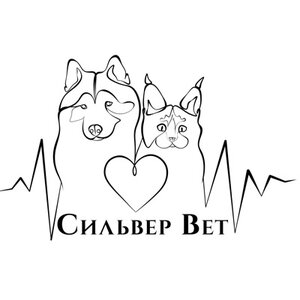 Логотип «СильверВет»